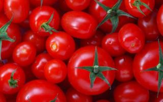 Какие помидоры самые урожайные