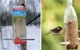 Кормушки для птиц: инструкции, фото и оригинальные идеи